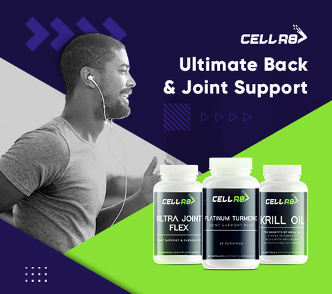 Ultimate Back & Knee - Joint Support